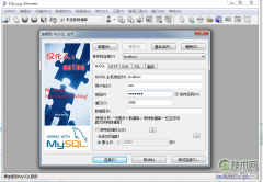 SQLyog使用介绍