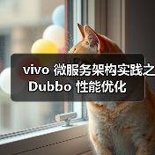 vivo 微服务架构实践之 Dubbo 性能优化