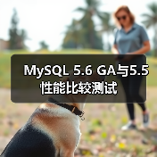 MySQL 5.6 GA与5.5性能比较测试