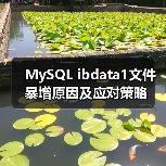 MySQL ibdata1文件暴增原因及应对策略