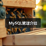 MySQL管理介绍
