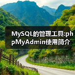 MySQL的管理工具:phpMyAdmin使用简介（图2）