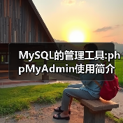 MySQL的管理工具:phpMyAdmin使用简介（图4）