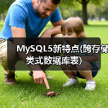 MySQL5新特点(跨存储类式数据库表)