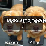 MySQL5新特点(触发器)