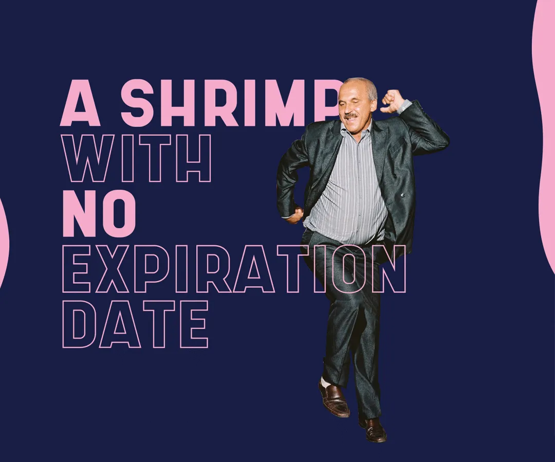 想找现代几何风格的无衬线字体？试试这款免费的Shrimp